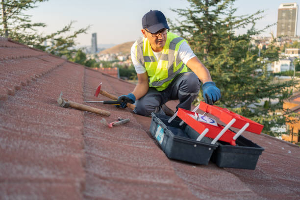 Best Storm Damage Siding Repair  in Southaven, MS